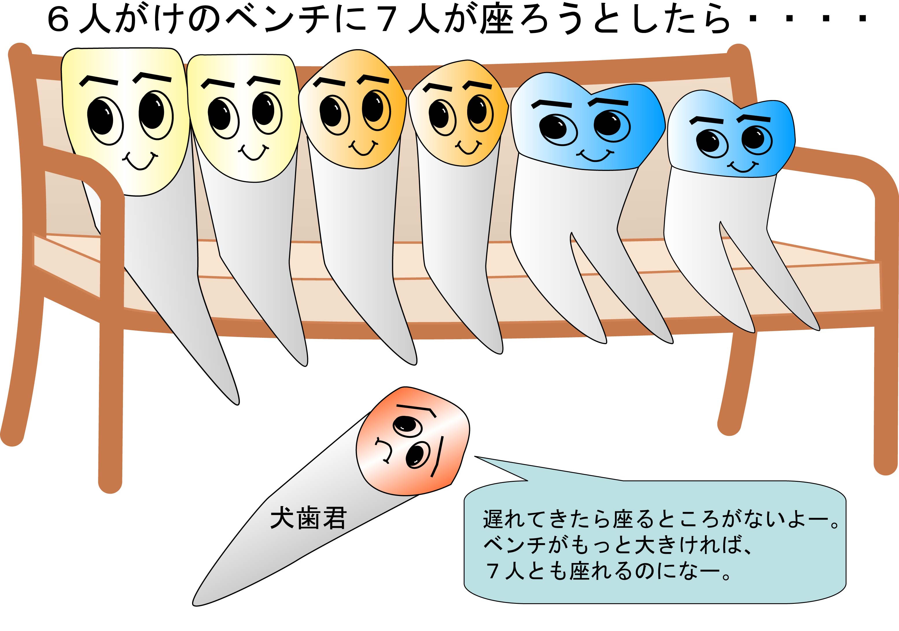 歯が並ぶスペースを「ベンチ」にたとえたイメージ